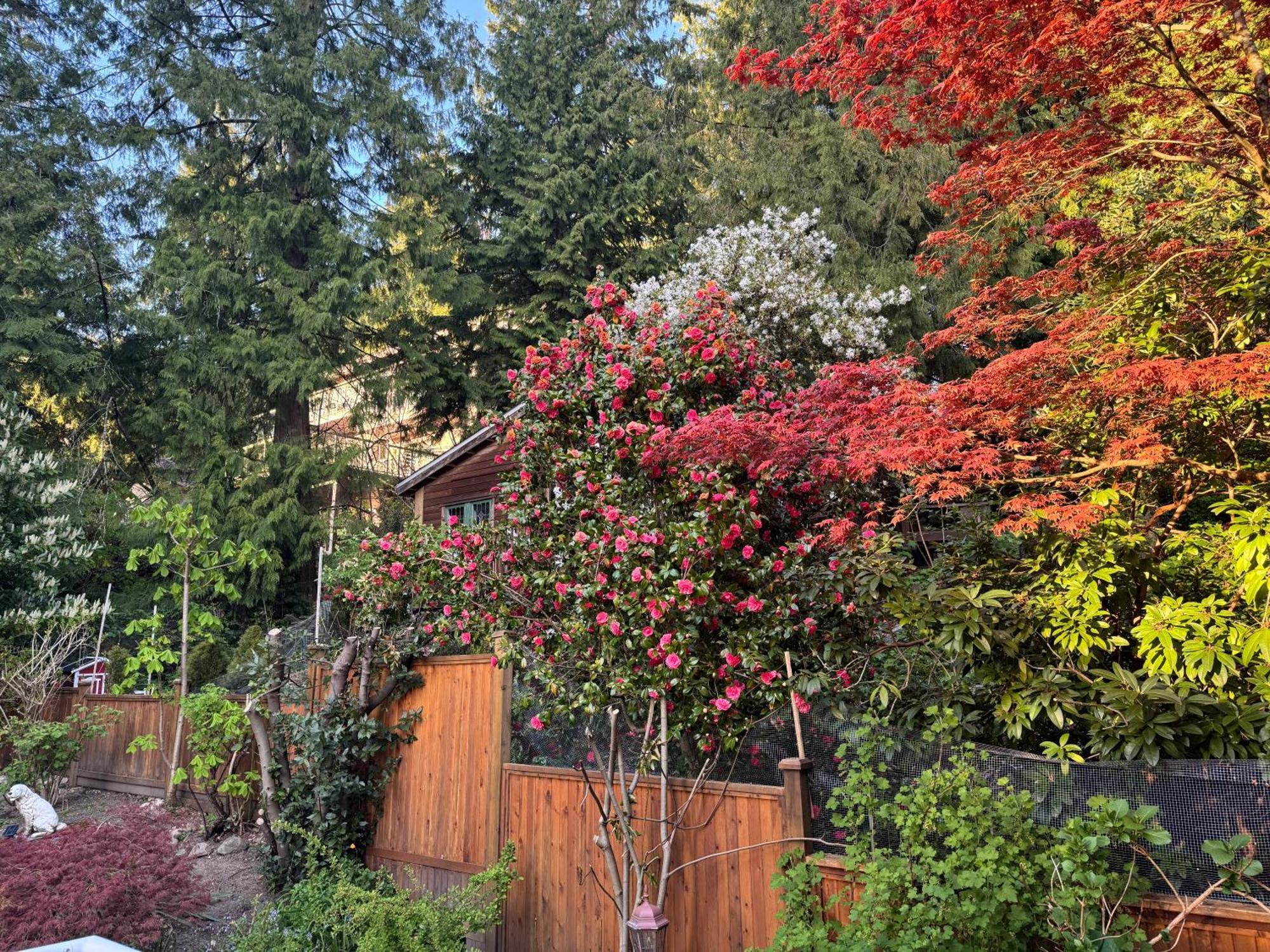 Beautiful Modern Suite North Vancouver Eksteriør bilde